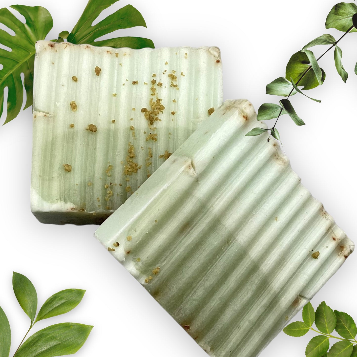Avocado Anti-Aging Bar